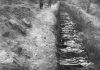 Nazi Death Camps